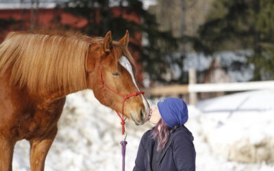 Taking care of horses behavioral needs helps with the training